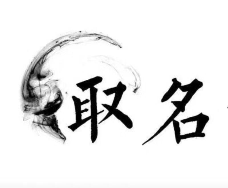  瑞丽宝宝取名 大师一对一人工起名