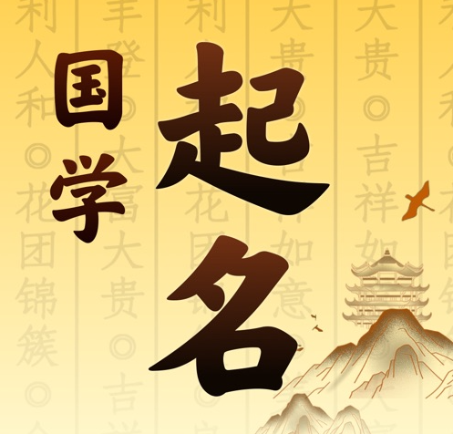 瑞丽国学起名 人工起名一对一